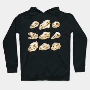 skull Hoodie